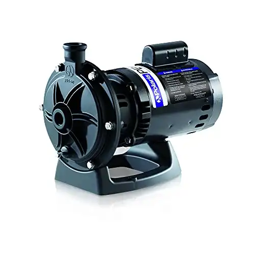 Polaris Booster Pump