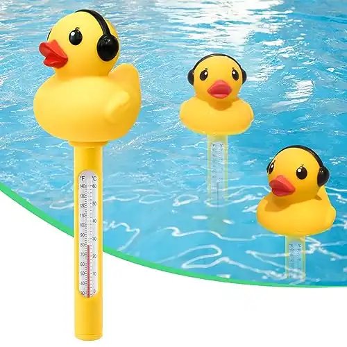 Floating Pool Thermometer