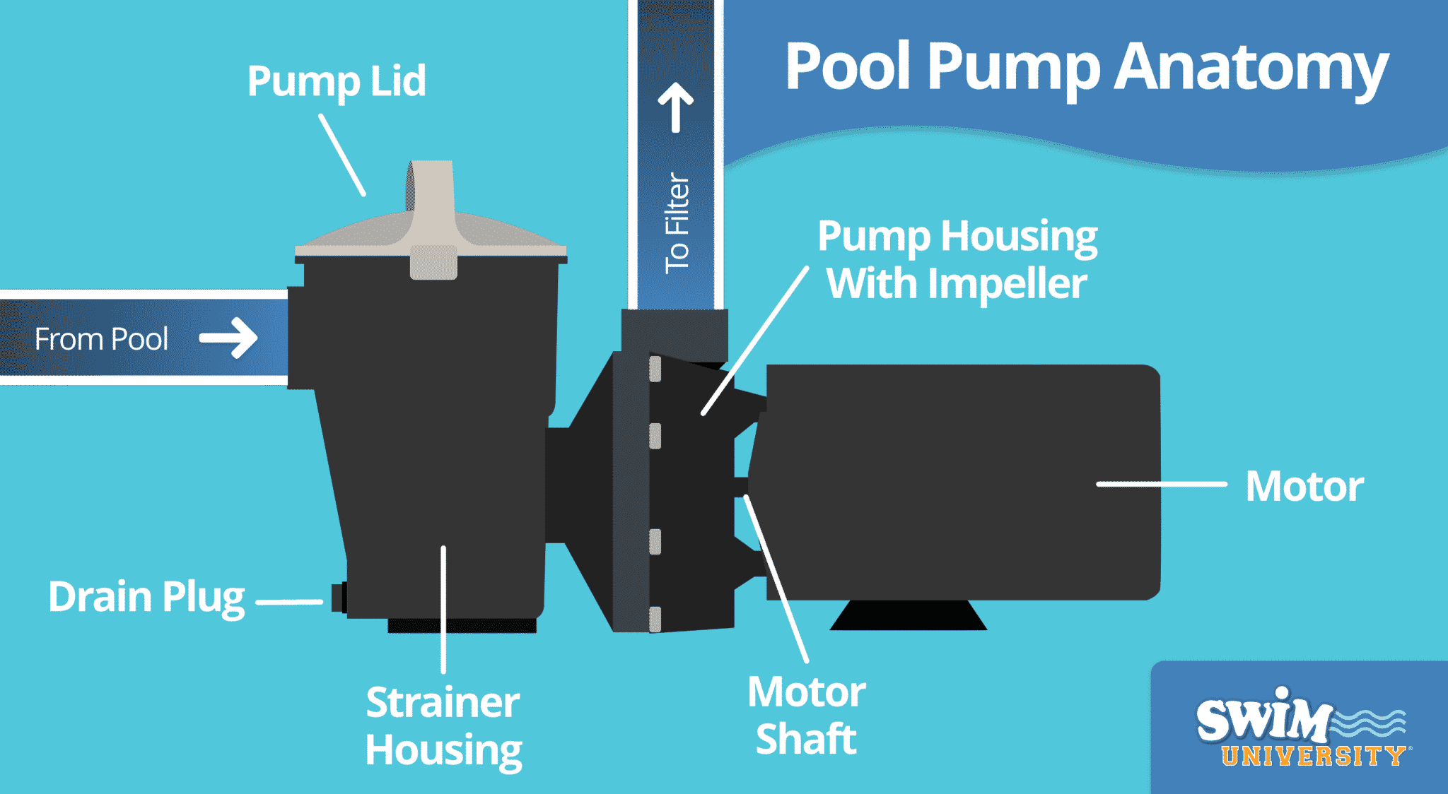 7 Troubleshooting Tips For Your Pool Pump Not Working